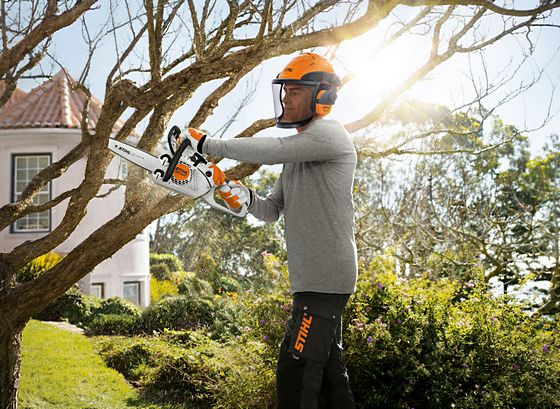 tree limb removal