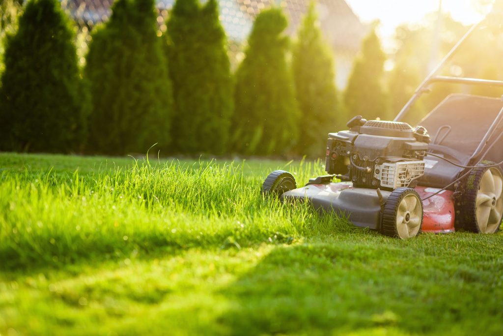 lawn mowing