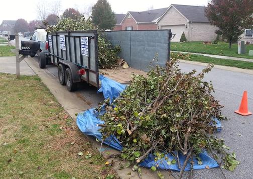 yard waste removal